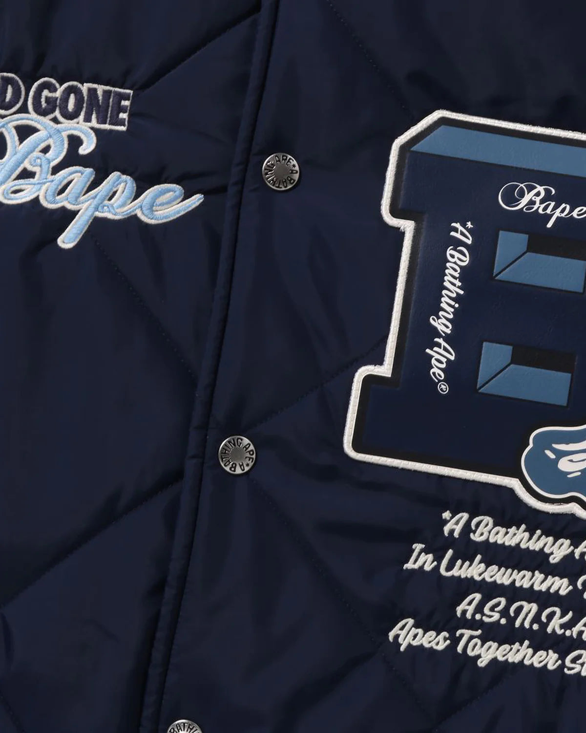 BAPE Patch Coach Jacket