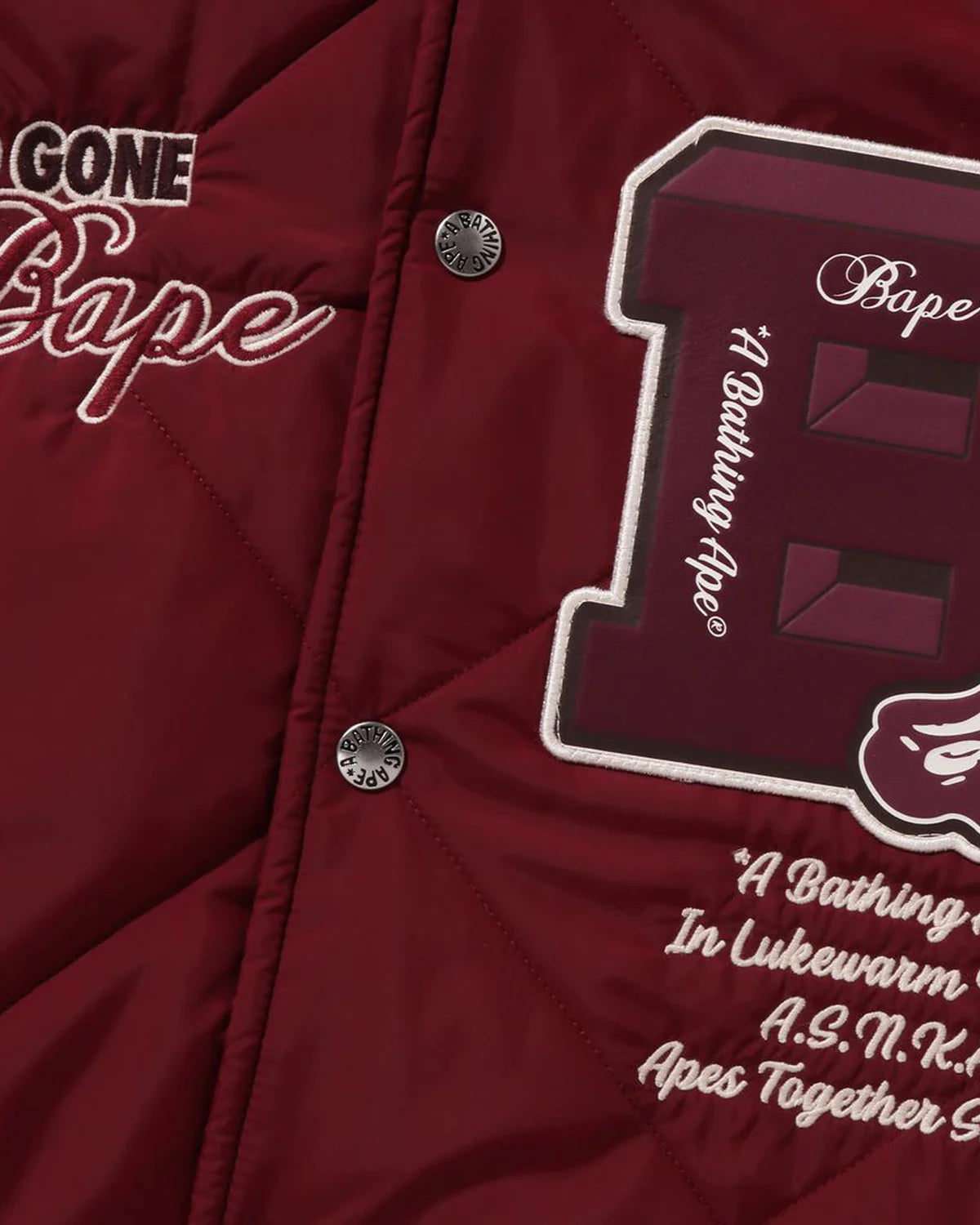 BAPE Patch Coach Jacket